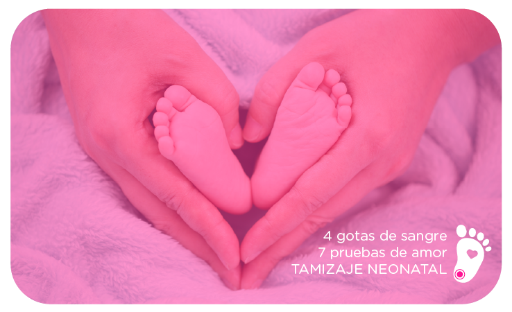 Importancia De La Fase Preanal Tica En Las Pruebas De Tamizaje Neonatal